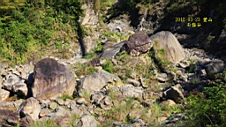 IMG_6706.JPG