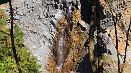 IMG_6724.JPG