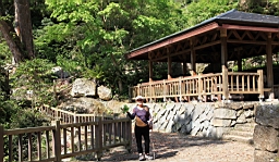 IMG_6733.JPG