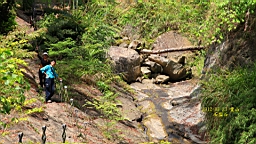 IMG_6767.JPG