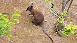 IMG_7593.JPG