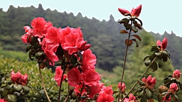 IMG_7600.JPG