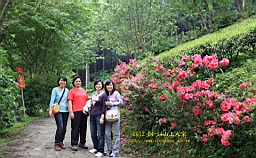 IMG_7602.JPG