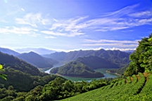 IMG_8951.JPG