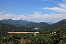 IMG_8980.JPG