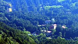 IMG_9158.JPG