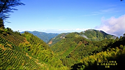 IMG_9162.JPG