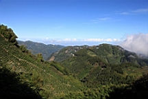 IMG_9167.JPG