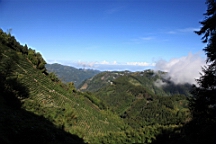 IMG_9170.JPG