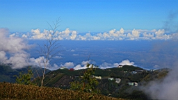 IMG_9172.JPG