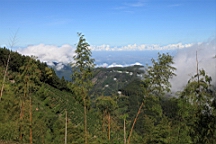 IMG_9173.JPG