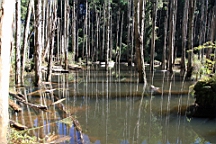 IMG_9178.JPG