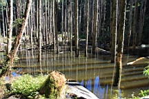 IMG_9179.JPG
