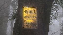 IMG_9219.JPG