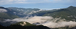 IMG_9419M.JPG