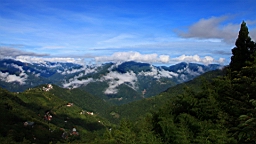 IMG_9499.JPG