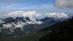 IMG_9508.JPG