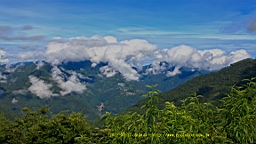 IMG_9519.JPG