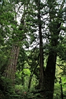 IMG_9543.JPG