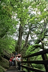 IMG_9550.JPG
