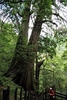 IMG_9554.JPG