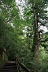 IMG_9563.JPG