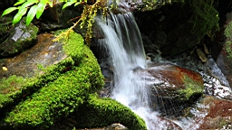 IMG_9574.JPG