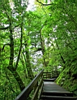 IMG_9575.JPG