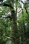 IMG_9576.JPG