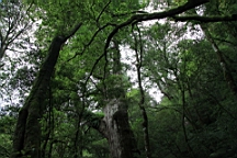 IMG_9588.JPG