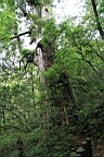 IMG_9589.JPG