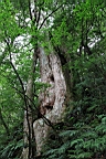 IMG_9594.JPG