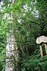 IMG_9596.JPG