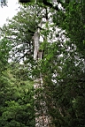 IMG_9597.JPG