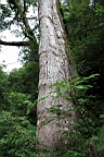 IMG_9598.JPG