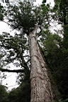 IMG_9599.JPG