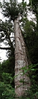 IMG_9599M.JPG