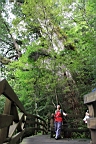 IMG_9603.JPG