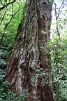 IMG_9604.JPG