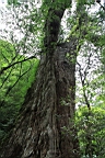IMG_9605.JPG