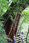 IMG_9607.JPG