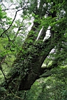 IMG_9608.JPG