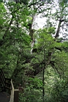 IMG_9609.JPG