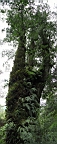 IMG_9611M.JPG