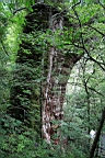 IMG_9612.JPG