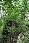 IMG_9613.JPG