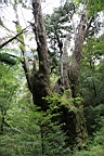 IMG_9614.JPG