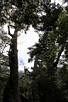 IMG_9616.JPG