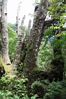 IMG_9619.JPG