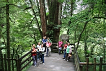 IMG_9625.JPG